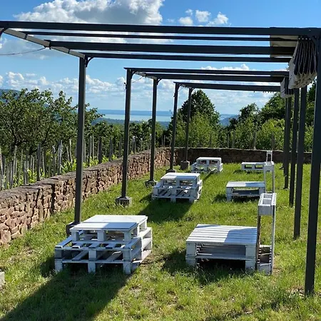 Chateau Segesdi Borapartman Lägenhet Gyulakeszi